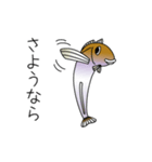 鱚彦（きすひこ）くんの日常【敬語】会話（個別スタンプ：12）