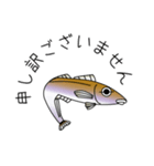 鱚彦（きすひこ）くんの日常【敬語】会話（個別スタンプ：14）