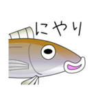 鱚彦（きすひこ）くんの日常【敬語】会話（個別スタンプ：35）