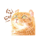 いつだってお猫様2（個別スタンプ：1）