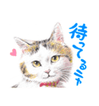 いつだってお猫様2（個別スタンプ：3）