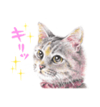 いつだってお猫様2（個別スタンプ：4）