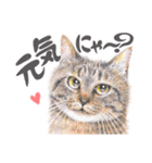 いつだってお猫様2（個別スタンプ：5）