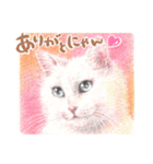 いつだってお猫様2（個別スタンプ：7）