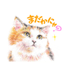 いつだってお猫様2（個別スタンプ：8）