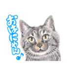 いつだってお猫様2（個別スタンプ：9）
