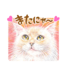 いつだってお猫様2（個別スタンプ：12）