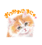 いつだってお猫様2（個別スタンプ：13）