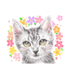 いつだってお猫様2（個別スタンプ：14）