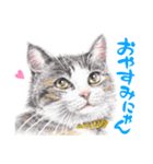 いつだってお猫様2（個別スタンプ：15）