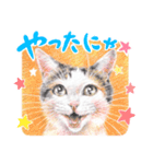 いつだってお猫様2（個別スタンプ：16）
