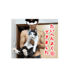 マルの日常だよーーーん（個別スタンプ：6）