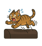デブ茶トラ猫〜妃シリーズスタンプ第3弾（個別スタンプ：2）