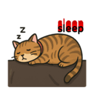 デブ茶トラ猫〜妃シリーズスタンプ第3弾（個別スタンプ：4）