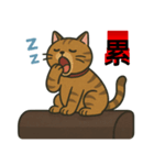 デブ茶トラ猫〜妃シリーズスタンプ第3弾（個別スタンプ：5）