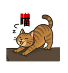 デブ茶トラ猫〜妃シリーズスタンプ第3弾（個別スタンプ：6）