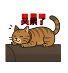 デブ茶トラ猫〜妃シリーズスタンプ第3弾（個別スタンプ：8）