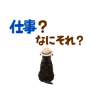 シェパード子犬の毎日スタンプ（個別スタンプ：5）
