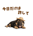シェパード子犬の毎日スタンプ（個別スタンプ：20）