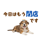 シェパード子犬の毎日スタンプ（個別スタンプ：24）