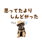 シェパード子犬の毎日スタンプ（個別スタンプ：29）