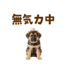 シェパード子犬の毎日スタンプ（個別スタンプ：32）