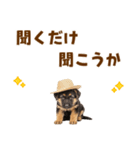 シェパード子犬の毎日スタンプ（個別スタンプ：38）