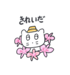 旅人ベベニャン (日本語) 6（個別スタンプ：6）