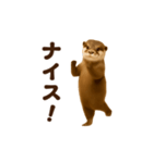 踊る！カワウソ（個別スタンプ：4）