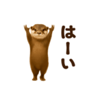 踊る！カワウソ（個別スタンプ：5）