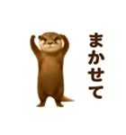 踊る！カワウソ（個別スタンプ：11）