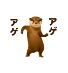 踊る！カワウソ（個別スタンプ：15）