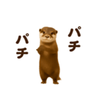 踊る！カワウソ（個別スタンプ：17）