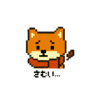 秋だね～！ドット絵柴犬ほっこりハロウィン（個別スタンプ：4）