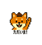 秋だね～！ドット絵柴犬ほっこりハロウィン（個別スタンプ：6）