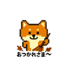 秋だね～！ドット絵柴犬ほっこりハロウィン（個別スタンプ：8）