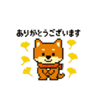 秋だね～！ドット絵柴犬ほっこりハロウィン（個別スタンプ：11）