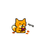 秋だね～！ドット絵柴犬ほっこりハロウィン（個別スタンプ：13）
