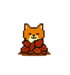 秋だね～！ドット絵柴犬ほっこりハロウィン（個別スタンプ：15）