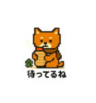 秋だね～！ドット絵柴犬ほっこりハロウィン（個別スタンプ：23）
