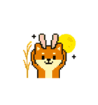 秋だね～！ドット絵柴犬ほっこりハロウィン（個別スタンプ：25）