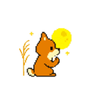 秋だね～！ドット絵柴犬ほっこりハロウィン（個別スタンプ：26）