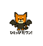 秋だね～！ドット絵柴犬ほっこりハロウィン（個別スタンプ：38）