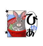 ウサウサしりとりPart1（個別スタンプ：31）
