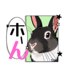 ウサウサしりとりPart1（個別スタンプ：34）