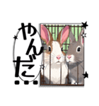 ウサウサしりとりPart1（個別スタンプ：39）