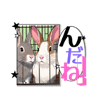 ウサウサしりとりPart1（個別スタンプ：40）