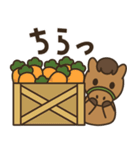 飛びだす！お馬さんの日常スタンプ（個別スタンプ：22）
