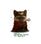 とむむ ゆる侍ねこの日常（個別スタンプ：2）