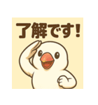 白文鳥 日常 基本スタンプ①（個別スタンプ：3）